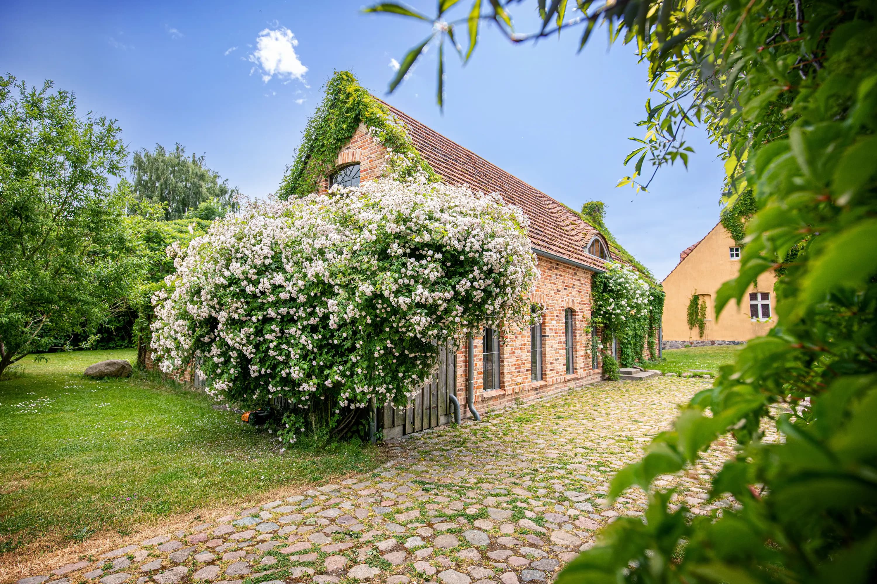 Weitläufige Grünflächen mit Bäumen, Sitzmöglichkeiten und Ausblick ins Umland am Ferienhaus Welzin