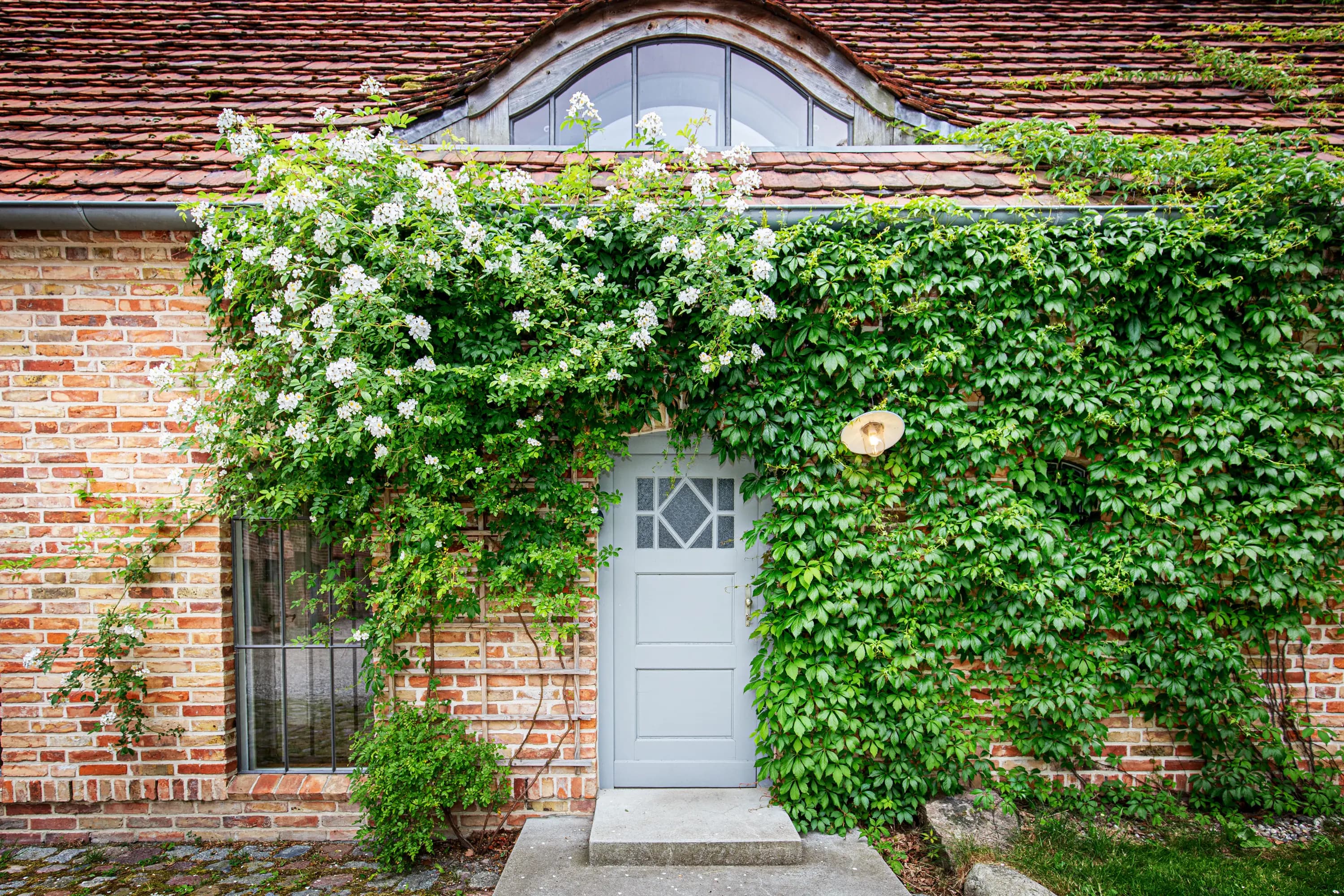Idyllischer Außenbereich mit Rasen und Naturpflanzen rund um das Ferienhaus Welzin