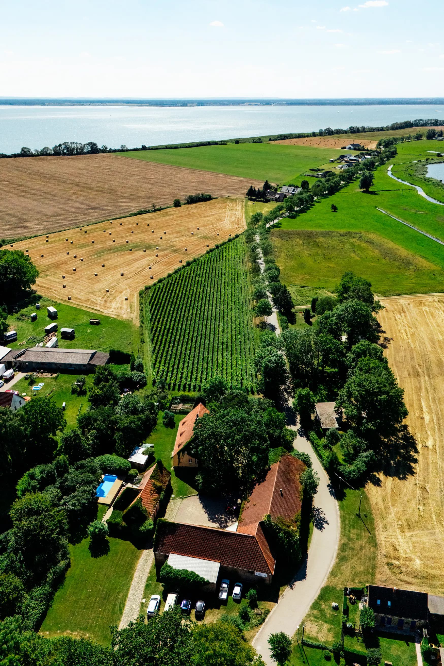 Weingut des Ferienhauses Welzin mit Weinreben und Blick auf den gepflegten Weinberg